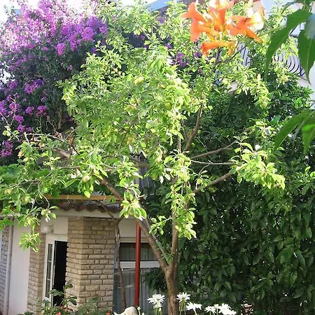 Herzlich דירה רוגוזניצה